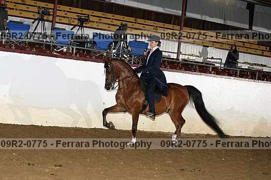 Proof 09r2-0775