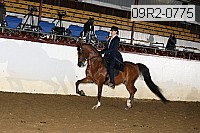 09r2-0775 proof