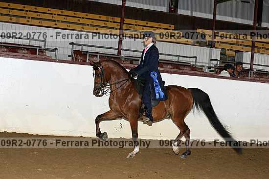 Proof 09r2-0776
