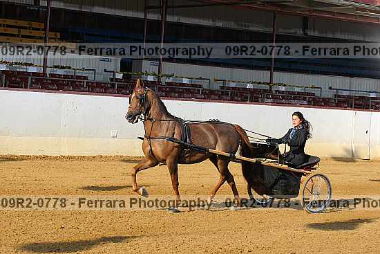 Proof 09r2-0778