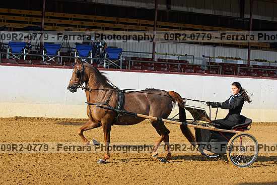 Proof 09r2-0779