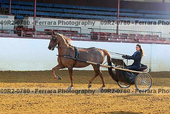 Proof 09r2-0780
