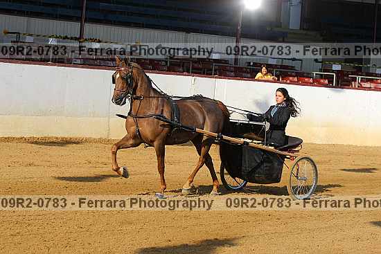 Proof 09r2-0783