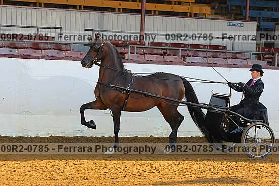 Proof 09r2-0785