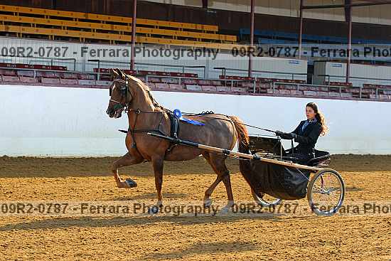 Proof 09r2-0787