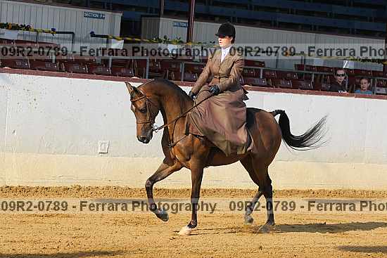 Proof 09r2-0789