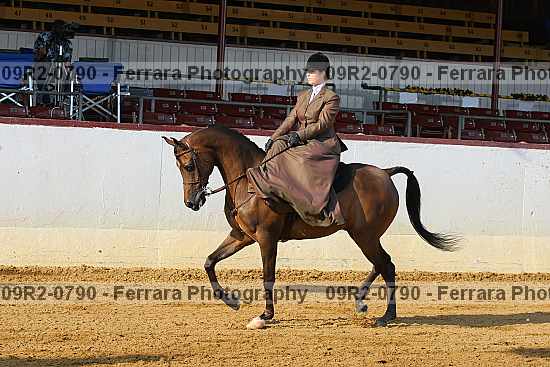 Proof 09r2-0790