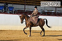09r2-0790 proof