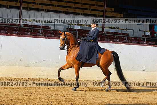 Proof 09r2-0793