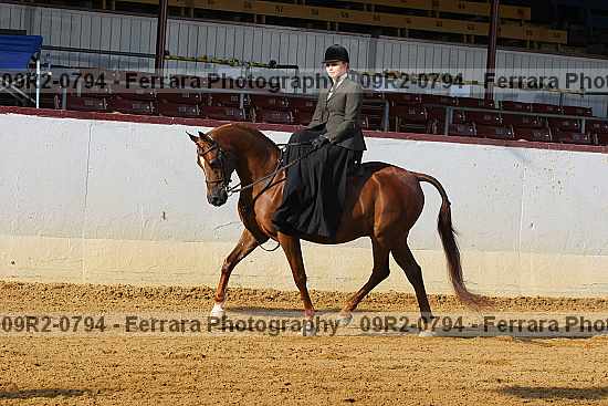 Proof 09r2-0794