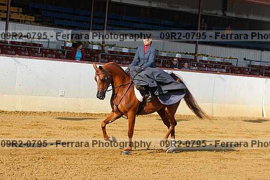 Proof 09r2-0795