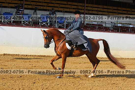 Proof 09r2-0796