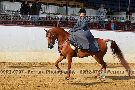 Proof 09r2-0797