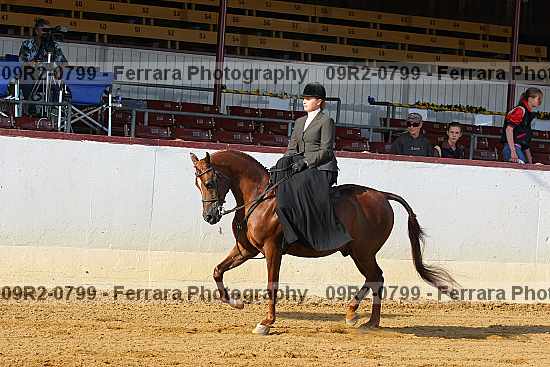 Proof 09r2-0799