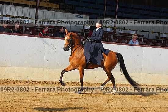 Proof 09r2-0802