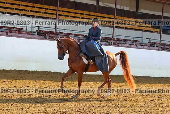 Proof 09r2-0803
