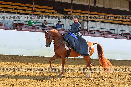 Proof 09r2-0804