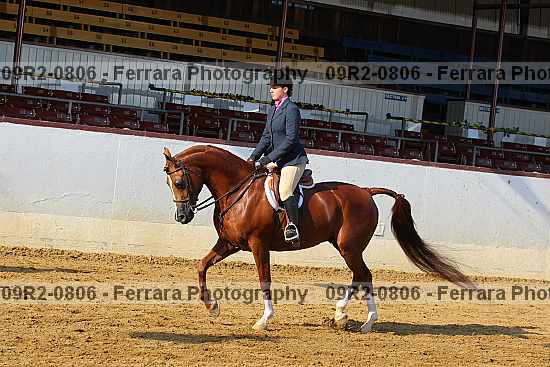 Proof 09r2-0806