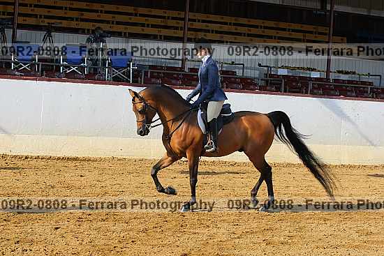 Proof 09r2-0808