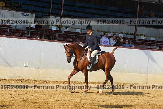 Proof 09r2-0809