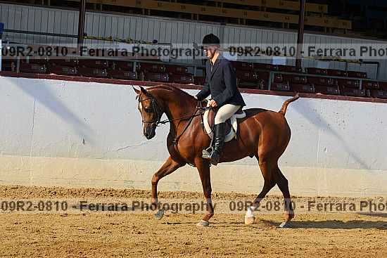Proof 09r2-0810