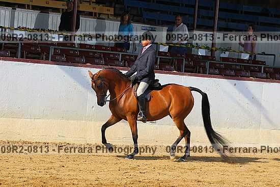 Proof 09r2-0813