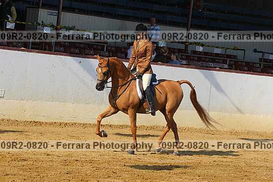 Proof 09r2-0820