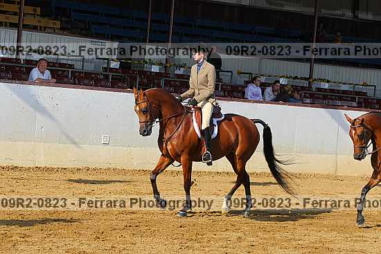 Proof 09r2-0823
