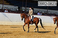 09r2-0823 proof