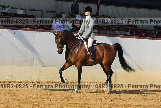 Proof 09r2-0825
