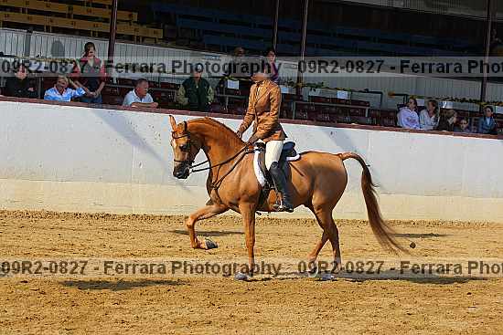 Proof 09r2-0827