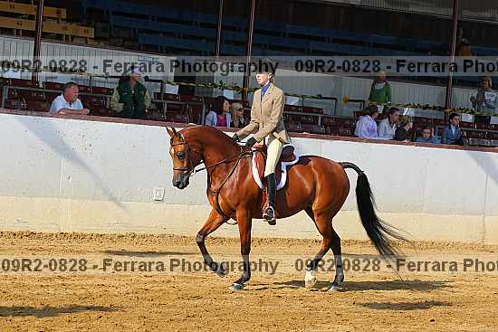 Proof 09r2-0828