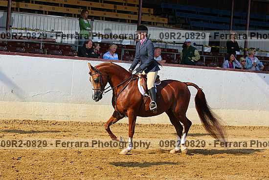 Proof 09r2-0829