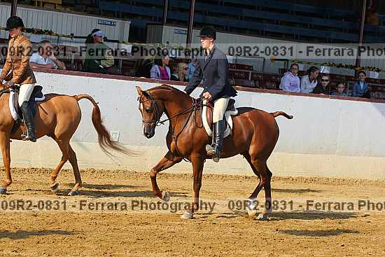 Proof 09r2-0831