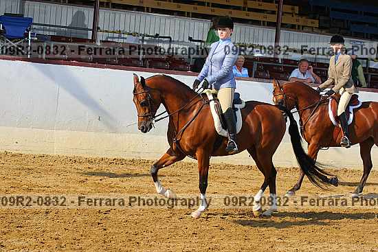 Proof 09r2-0832