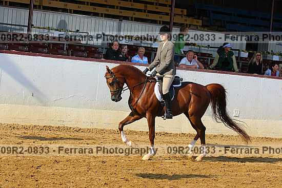 Proof 09r2-0833