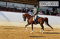 09r2-0833 proof