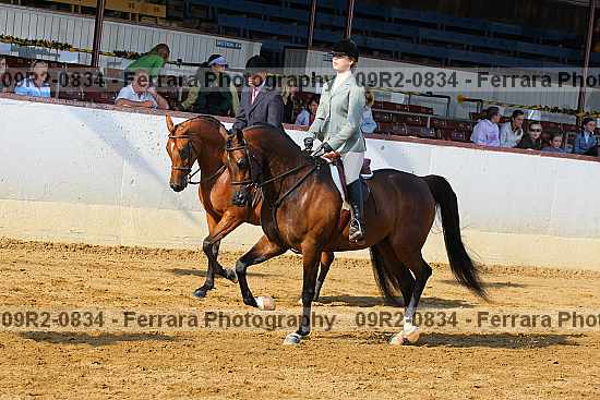 Proof 09r2-0834