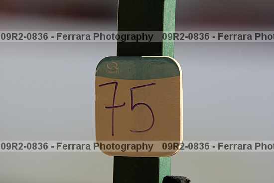 Proof 09r2-0836