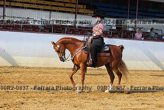 Proof 09r2-0837