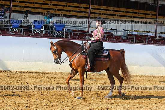 Proof 09r2-0838
