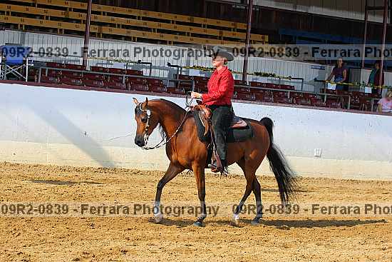 Proof 09r2-0839