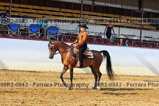 Proof 09r2-0843