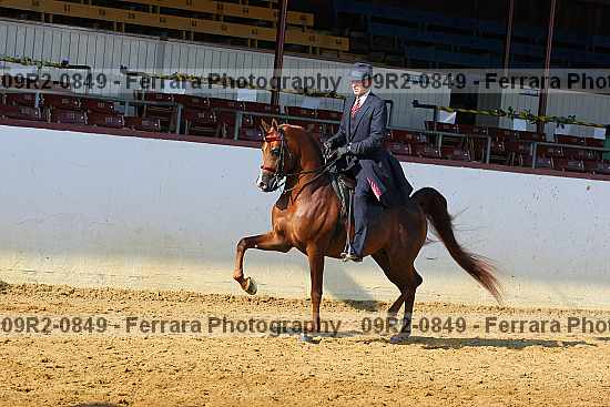 Proof 09r2-0849