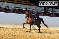 09r2-0849 proof