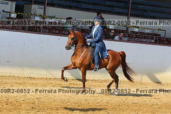 Proof 09r2-0852