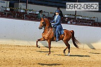 09r2-0852 proof