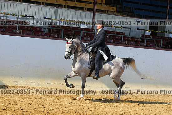 Proof 09r2-0853
