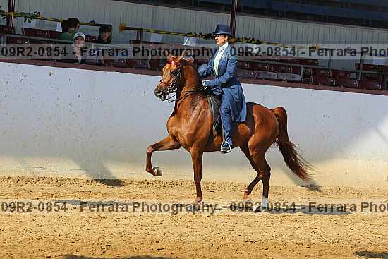 Proof 09r2-0854