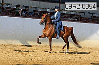 09r2-0854 proof